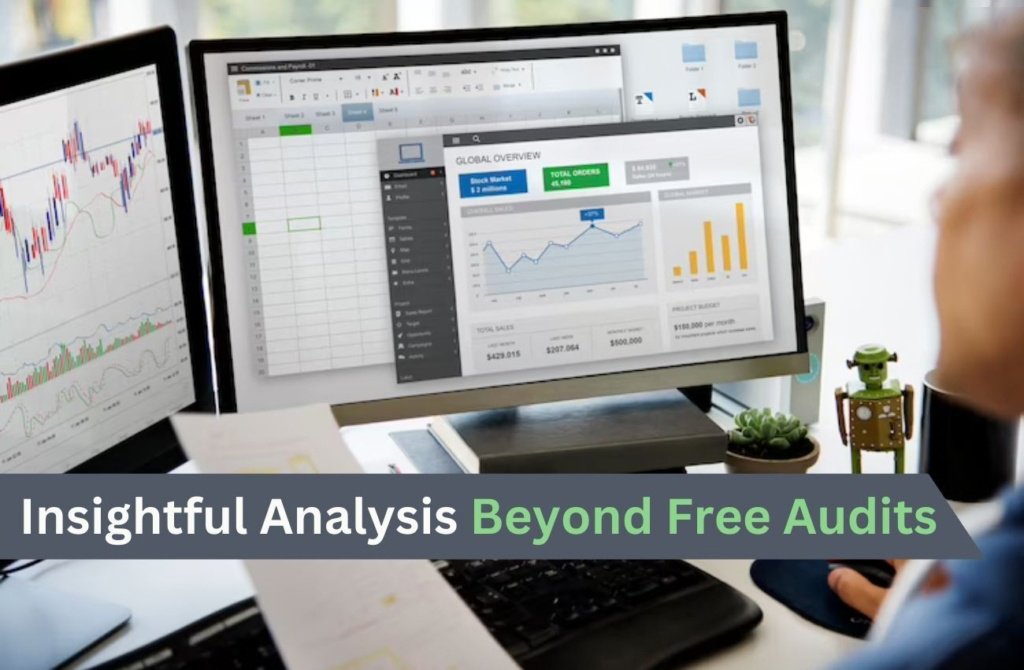 Insightful-Analysis-Beyond-Free-Audits